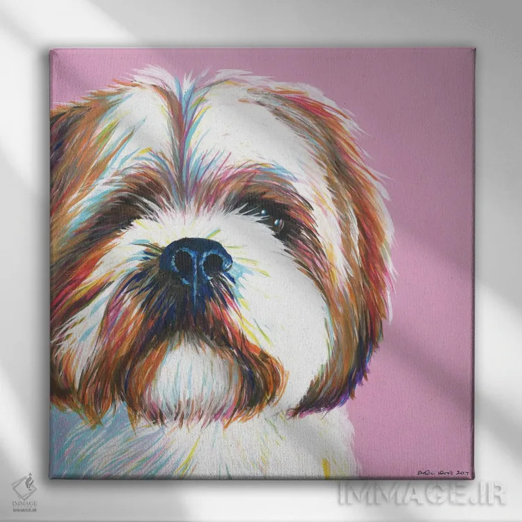 تابلو دکوراتیو شیتزو روی زمینه صورتی، مربع اثر کیرستین وود - نمای روبهرو روی دیوار