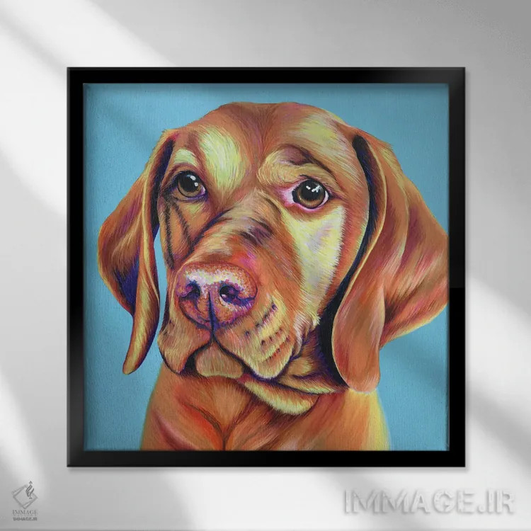 تابلو دکوراتیو ویزلا روی زمینه آبی تخم مرغی اثر کیرستین وود - نمای قابدار مشکی