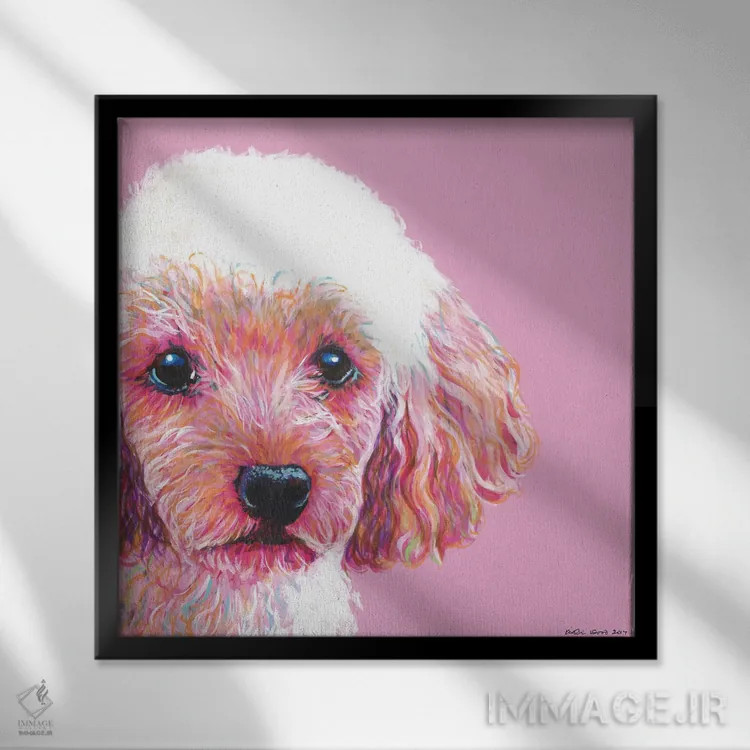 تابلو دکوراتیو پودل روی زمینه صورتی، مربع اثر کیرستین وود - نمای قابدار مشکی