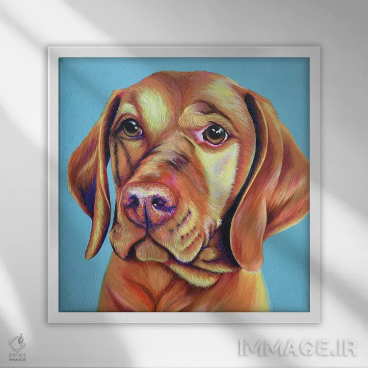 تابلو دکوراتیو ویزلا روی زمینه آبی تخم مرغی اثر کیرستین وود - نمای قابدار سفید