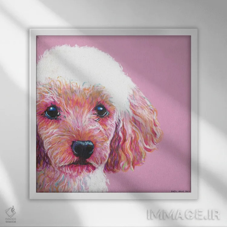 تابلو دکوراتیو پودل روی زمینه صورتی، مربع اثر کیرستین وود - نمای قابدار سفید