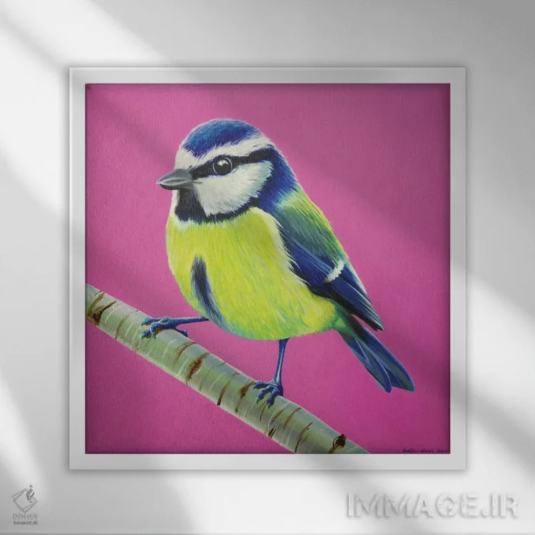 تابلو دکوراتیو سینه آبی اثر کیرستین وود - نمای قابدار سفید