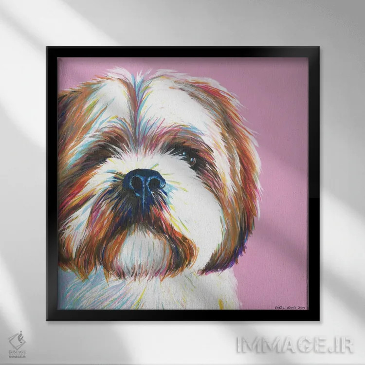 تابلو دکوراتیو شیتزو روی زمینه صورتی، مربع اثر کیرستین وود - نمای قابدار مشکی