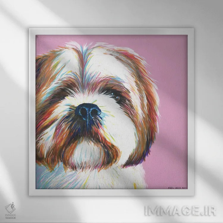 تابلو دکوراتیو شیتزو روی زمینه صورتی، مربع اثر کیرستین وود - نمای قابدار سفید