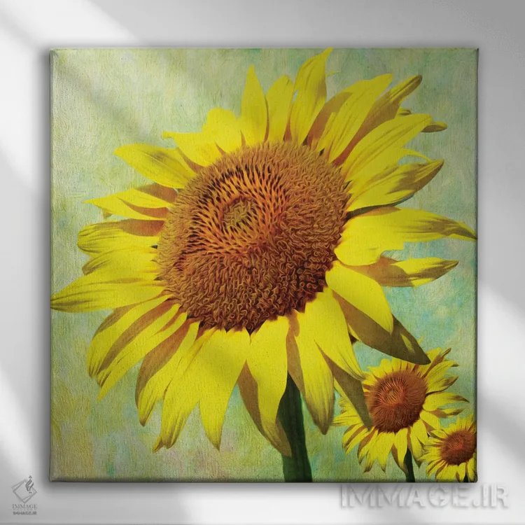 تابلو دکوراتیو روز خوش آفتابگردان اثر لورا دی یانگ - نمای روبهرو روی دیوار