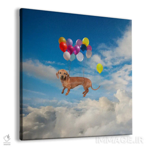 تابلو دکوراتیو سر خوردن سگ داشهوند اثر لوند روزر - نمای پرسپکتیو محصول