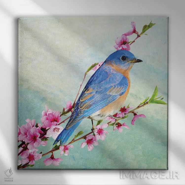 تابلو دکوراتیو مرغ آبی نر درخت گیلاس اثر لورا دی یانگ - نمای روبهرو روی دیوار