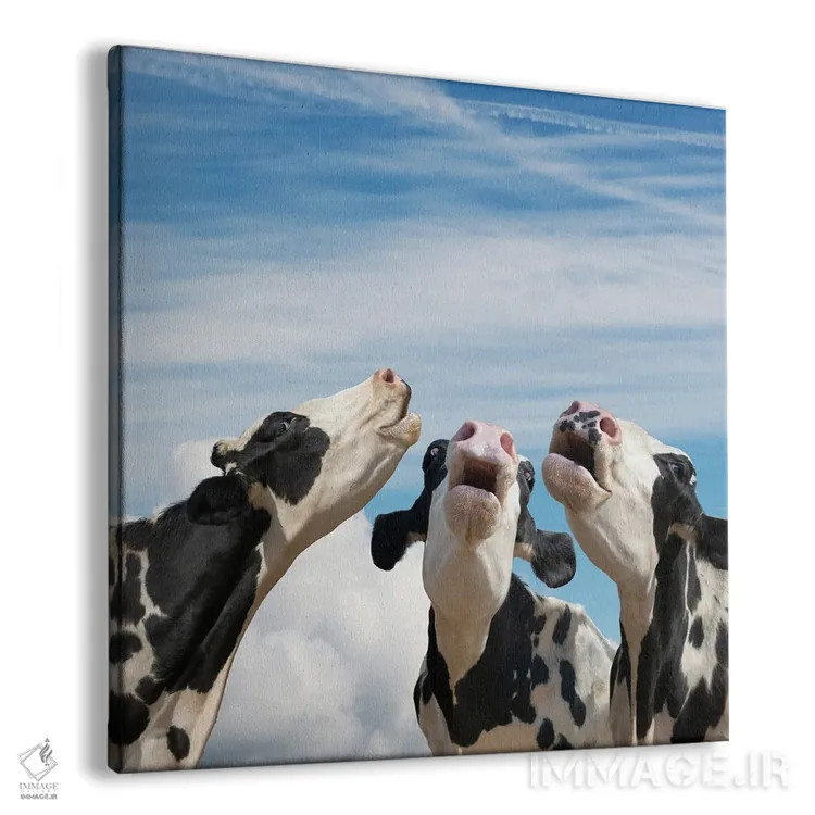 تابلو دکوراتیو همخوانی گاوها اثر لوند روزر - نمای پرسپکتیو محصول