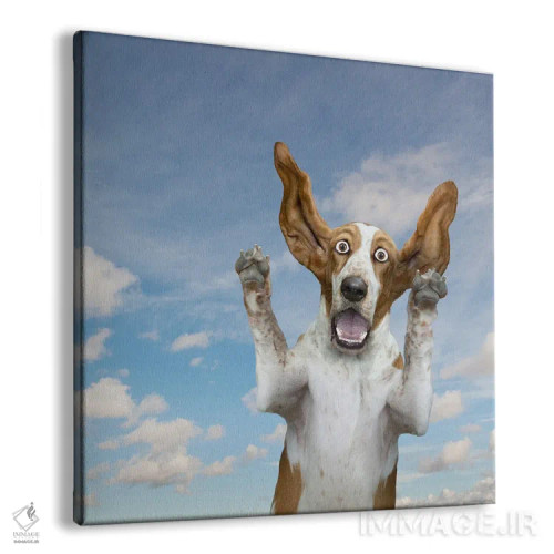 تابلو دکوراتیو شگفتی سگ باست هاوند اثر لوند روزر - نمای پرسپکتیو محصول