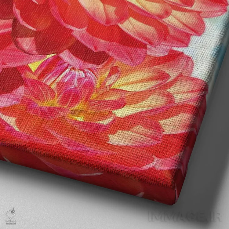 تابلو دکوراتیو گل های کوکب نارنجی اثر لورا دی یانگ - نمای نزدیک بافت بوم