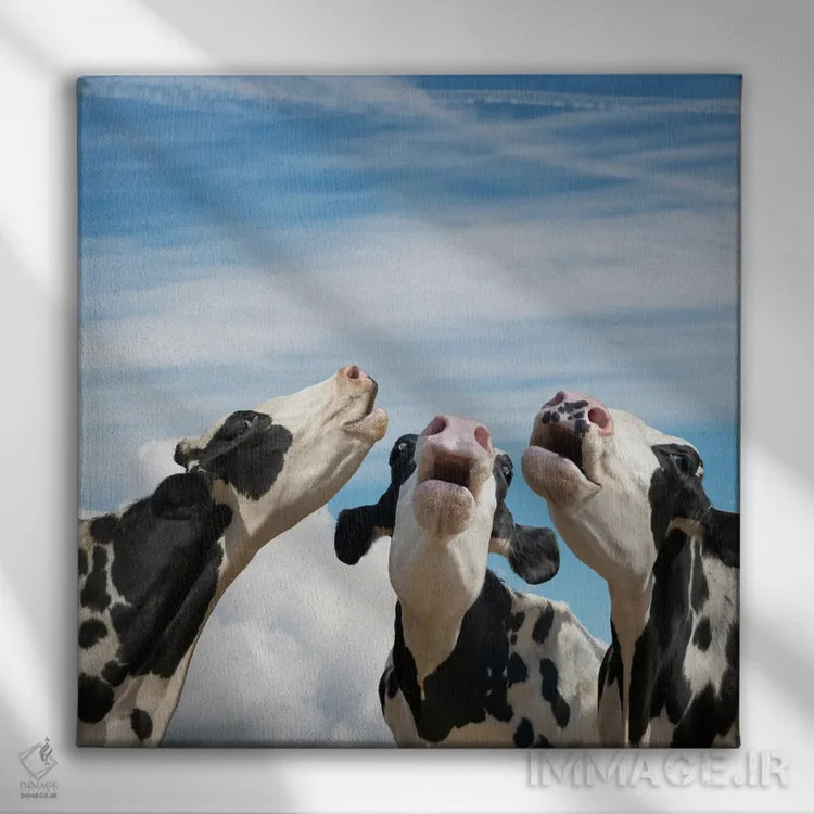 تابلو دکوراتیو همخوانی گاوها اثر لوند روزر - نمای روبهرو روی دیوار