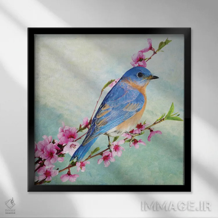تابلو دکوراتیو مرغ آبی نر درخت گیلاس اثر لورا دی یانگ - نمای قابدار مشکی