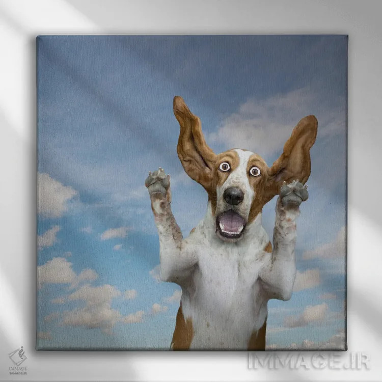 تابلو دکوراتیو شگفتی سگ باست هاوند اثر لوند روزر - نمای روبهرو روی دیوار