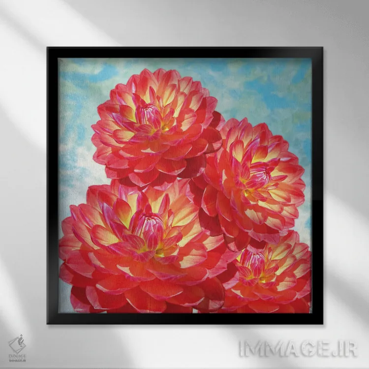 تابلو دکوراتیو گل های کوکب نارنجی اثر لورا دی یانگ - نمای قابدار مشکی