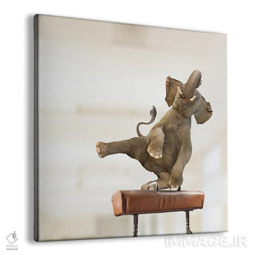 تابلو دکوراتیو فیل سوار بر اسب اثر لوند روزر - نمای پرسپکتیو محصول