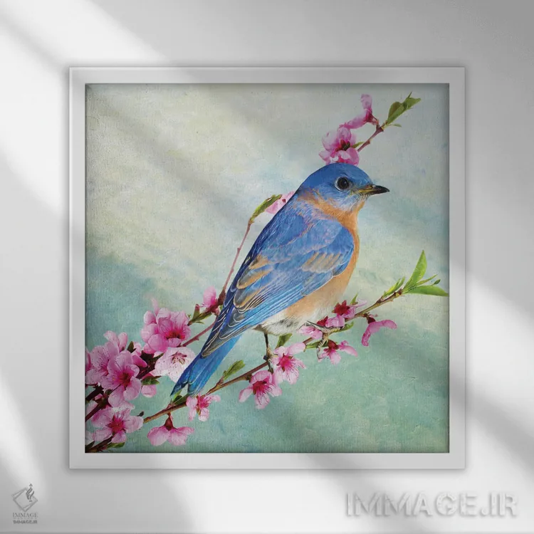 تابلو دکوراتیو مرغ آبی نر درخت گیلاس اثر لورا دی یانگ - نمای قابدار سفید