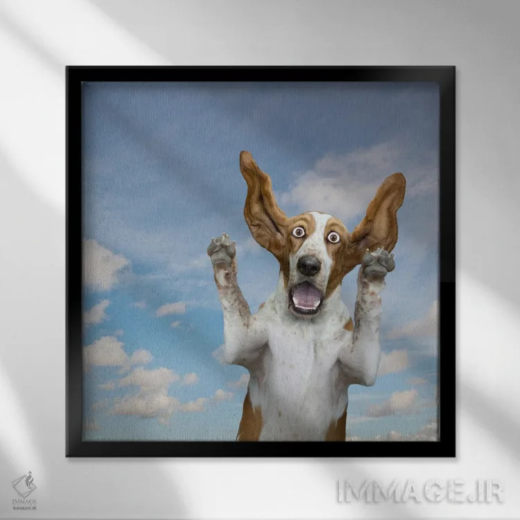 تابلو دکوراتیو شگفتی سگ باست هاوند اثر لوند روزر - نمای قابدار مشکی