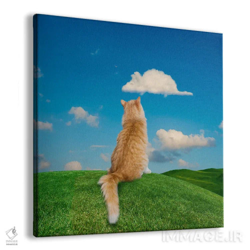 تابلو دکوراتیو گربه در حال خیال پردازی اثر لوند روزر - نمای پرسپکتیو محصول