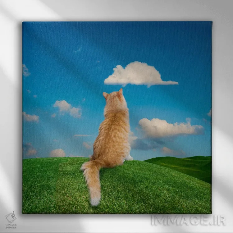 تابلو دکوراتیو گربه در حال خیال پردازی اثر لوند روزر - نمای روبهرو روی دیوار
