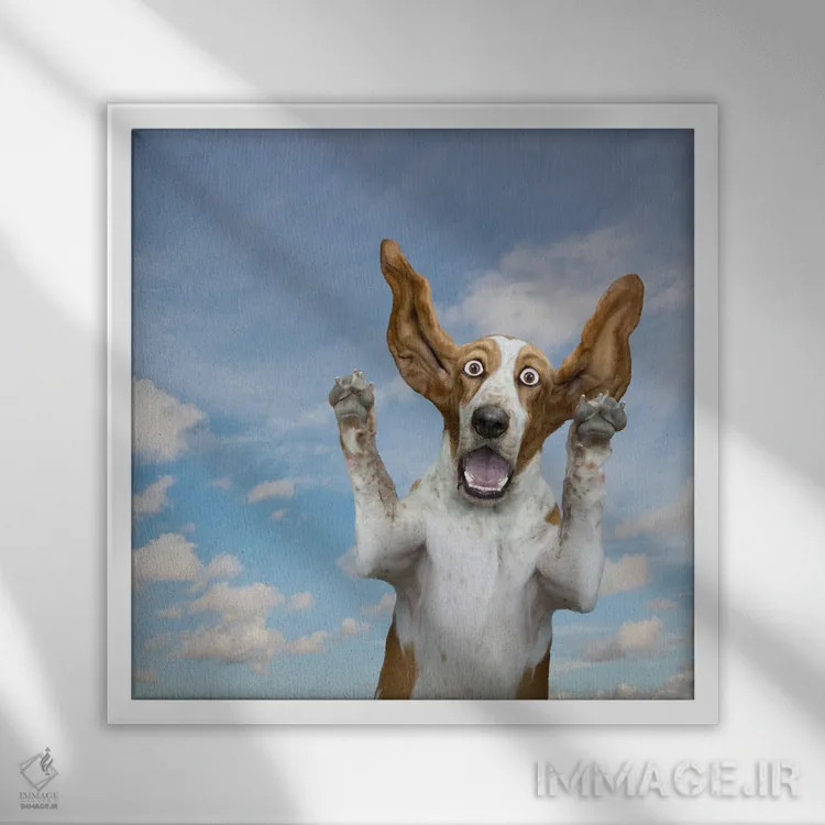 تابلو دکوراتیو شگفتی سگ باست هاوند اثر لوند روزر - نمای قابدار سفید