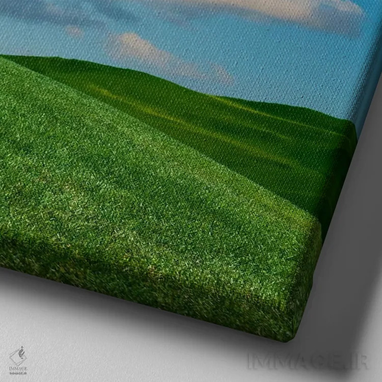 تابلو دکوراتیو گربه در حال خیال پردازی اثر لوند روزر - نمای نزدیک بافت بوم