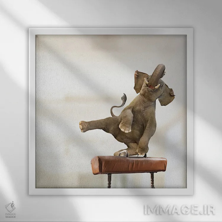 تابلو دکوراتیو فیل سوار بر اسب اثر لوند روزر - نمای قابدار سفید