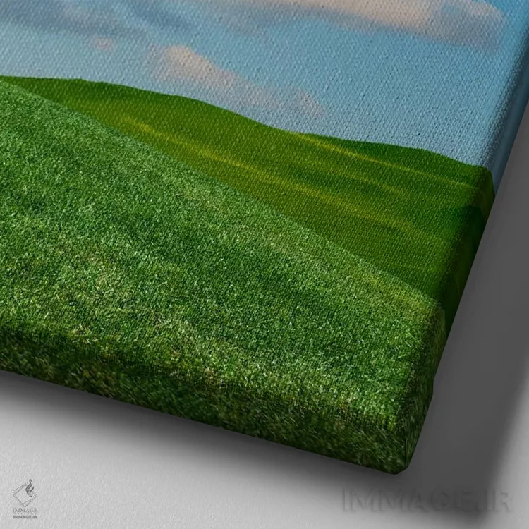 تابلو دکوراتیو سگ در حال خیال پردازی اثر لوند روزر - نمای نزدیک بافت بوم