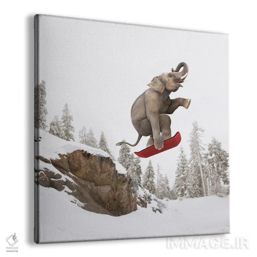 تابلو دکوراتیو گرفتن هوا اثر لوند روزر - نمای پرسپکتیو محصول