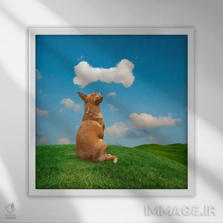 تابلو دکوراتیو سگ در حال خیال پردازی اثر لوند روزر - نمای قابدار سفید