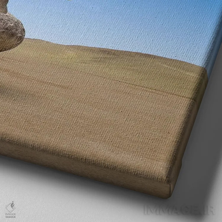 تابلو دکوراتیو مهارت های فیل اثر لوند روزر - نمای نزدیک بافت بوم