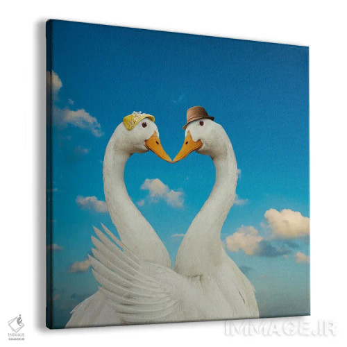 تابلو دکوراتیو غاز و همسرش اثر لوند روزر - نمای پرسپکتیو محصول