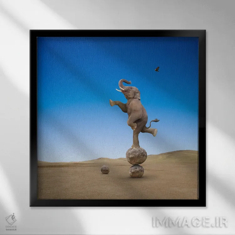 تابلو دکوراتیو مهارت های فیل اثر لوند روزر - نمای قابدار مشکی