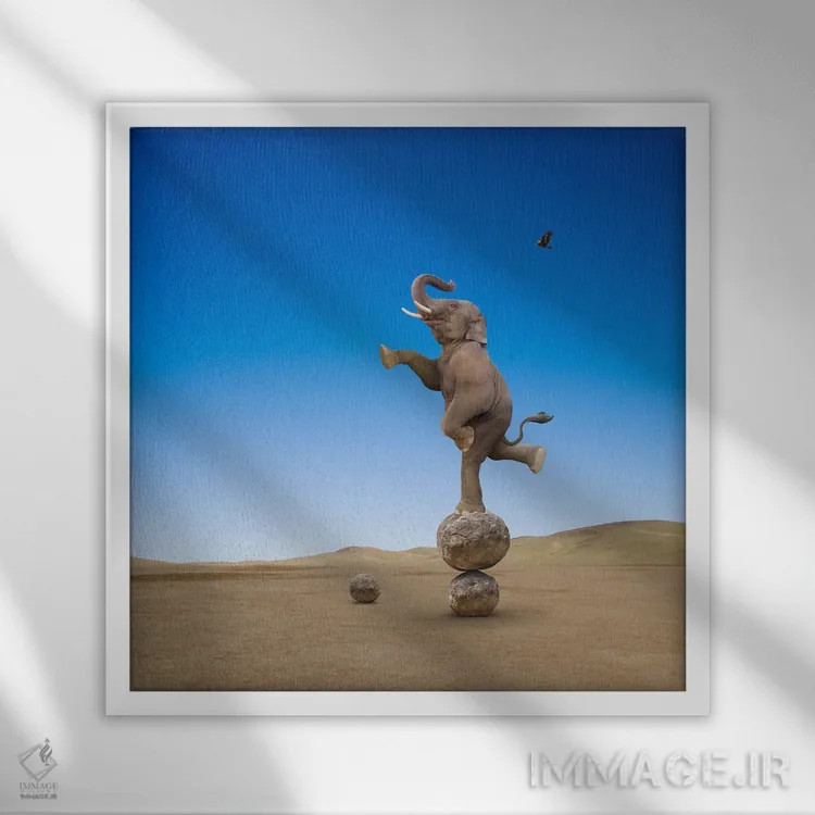 تابلو دکوراتیو مهارت های فیل اثر لوند روزر - نمای قابدار سفید