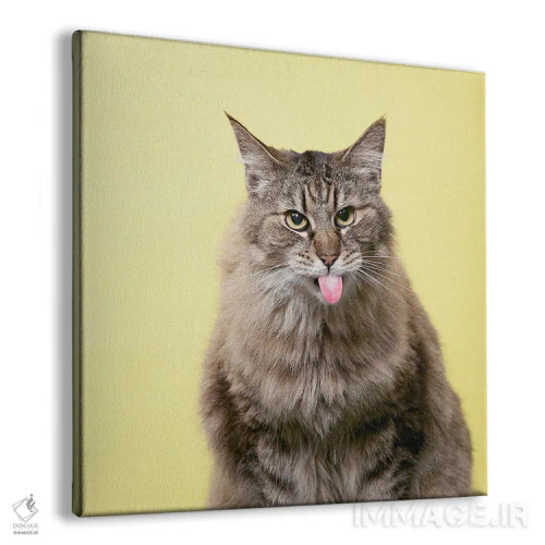 تابلو دکوراتیو گربه ترش رو اثر لوند روزر - نمای پرسپکتیو محصول