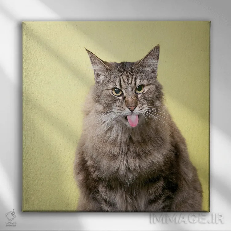 تابلو دکوراتیو گربه ترش رو اثر لوند روزر - نمای روبهرو روی دیوار