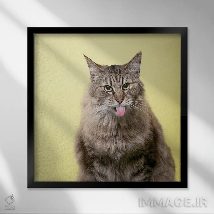 تابلو دکوراتیو گربه ترش رو اثر لوند روزر - نمای قابدار مشکی