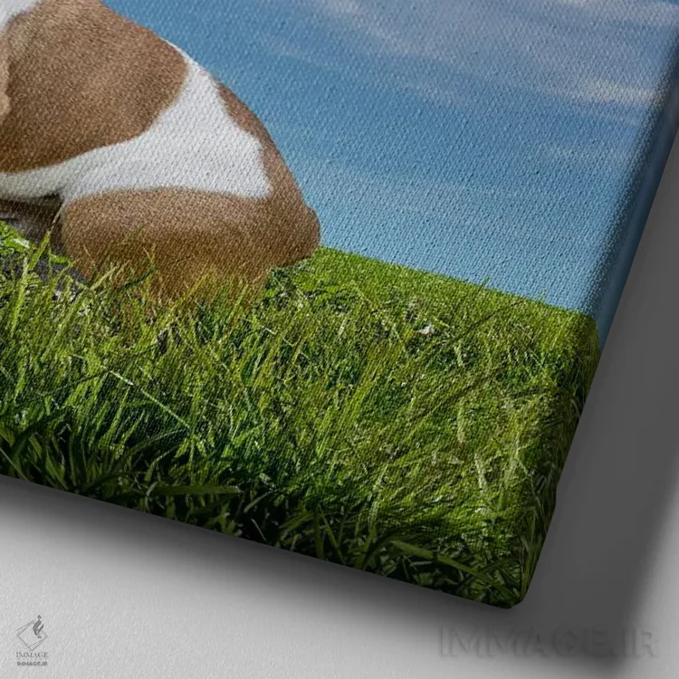 تابلو دکوراتیو روبرو شدن اثر لوند روزر - نمای نزدیک بافت بوم