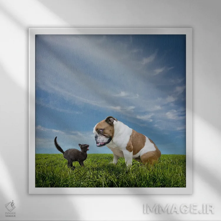 تابلو دکوراتیو روبرو شدن اثر لوند روزر - نمای قابدار سفید