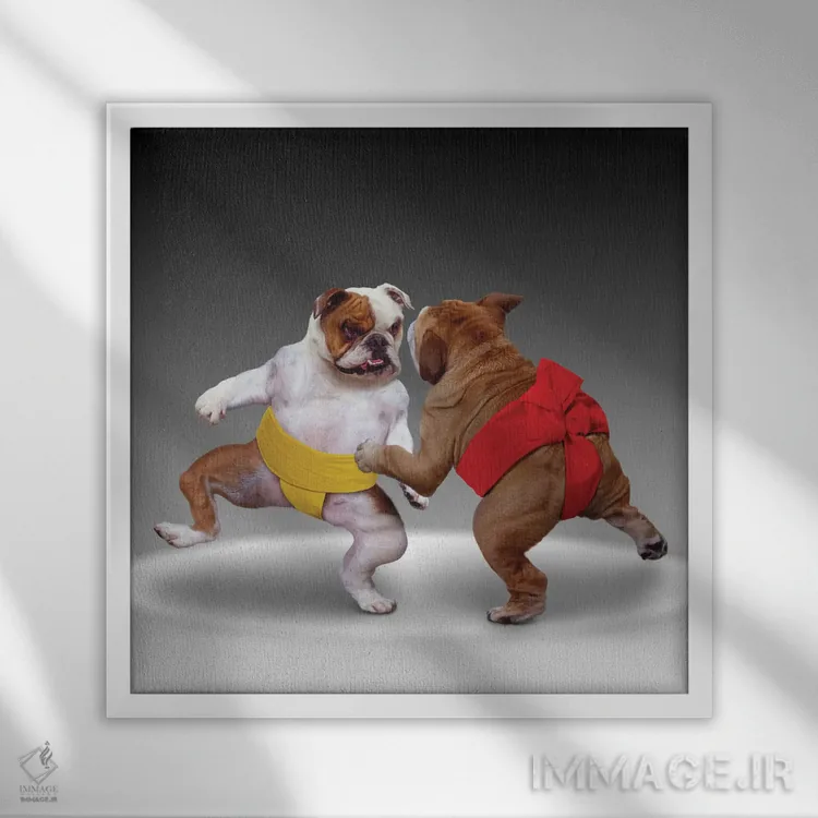 تابلو دکوراتیو سگ های سوموکار اثر لوند روزر - نمای قابدار سفید