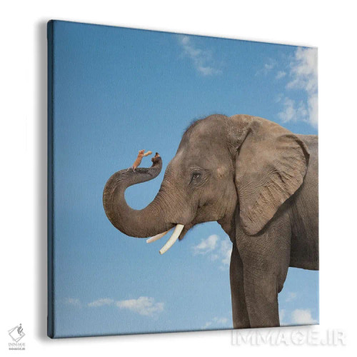 تابلو دکوراتیو دوستی فیل و موش اثر لوند روزر - نمای پرسپکتیو محصول