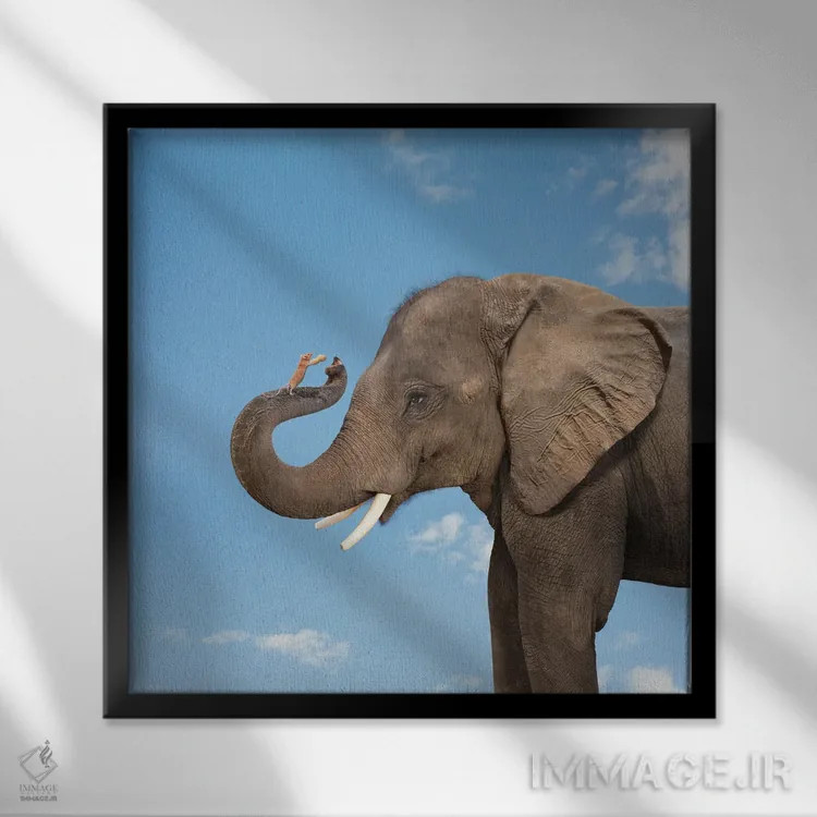 تابلو دکوراتیو دوستی فیل و موش اثر لوند روزر - نمای قابدار مشکی