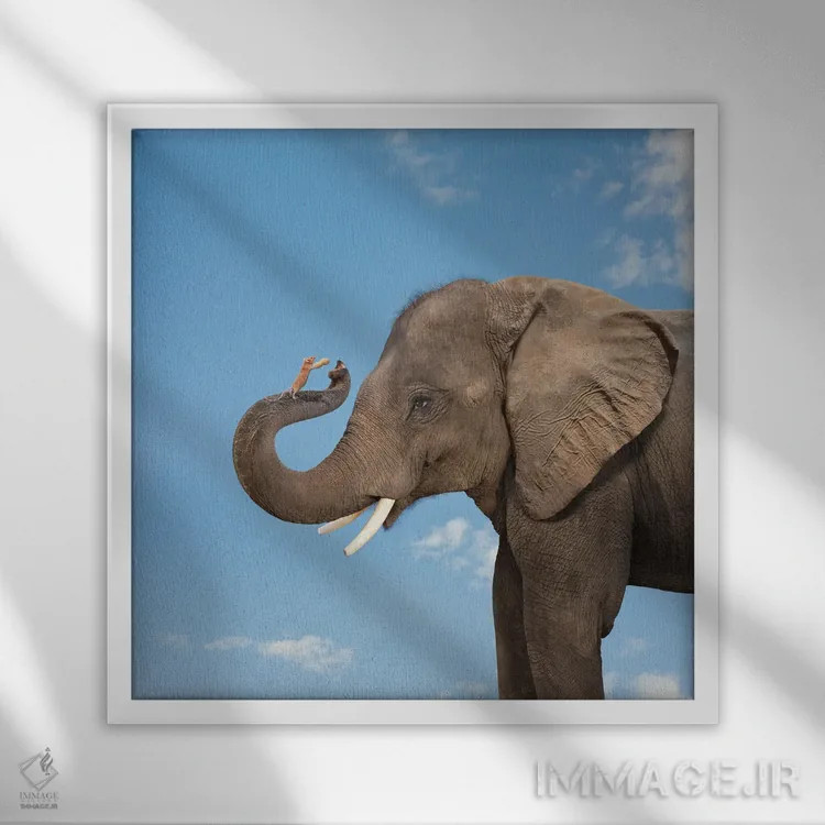 تابلو دکوراتیو دوستی فیل و موش اثر لوند روزر - نمای قابدار سفید