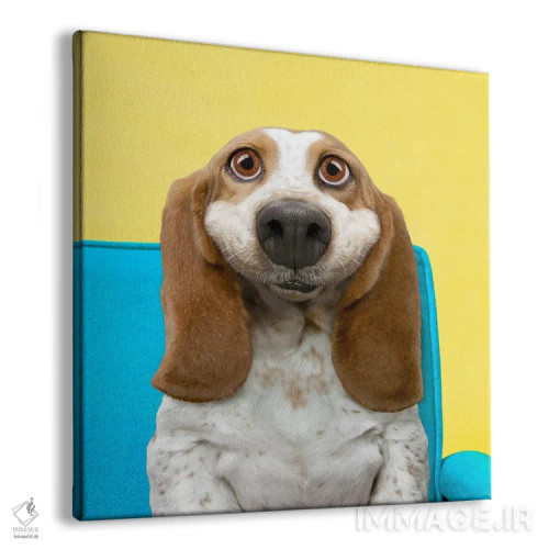 تابلو دکوراتیو زیبایی باست هاوند اثر لوند روزر - نمای پرسپکتیو محصول