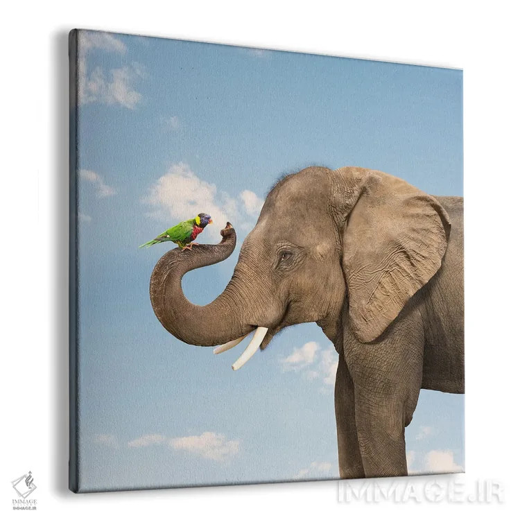 تابلو دکوراتیو دوستی فیل و طوطی لوریکیت اثر لوند روزر - نمای پرسپکتیو محصول