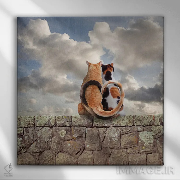 تابلو دکوراتیو عشق گربه ای کامل اثر لوند روزر - نمای روبهرو روی دیوار