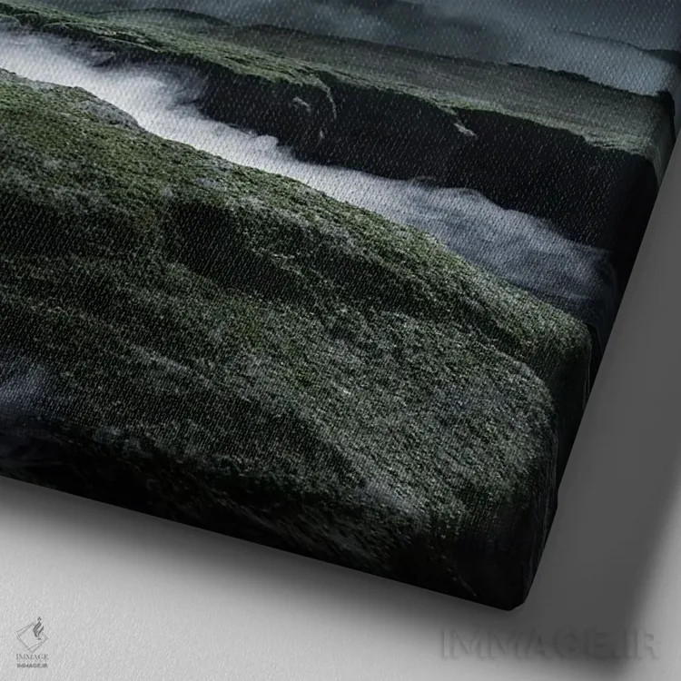 تابلو دکوراتیو تک شاخ نیمه شب اثر لوند روزر - نمای نزدیک بافت بوم