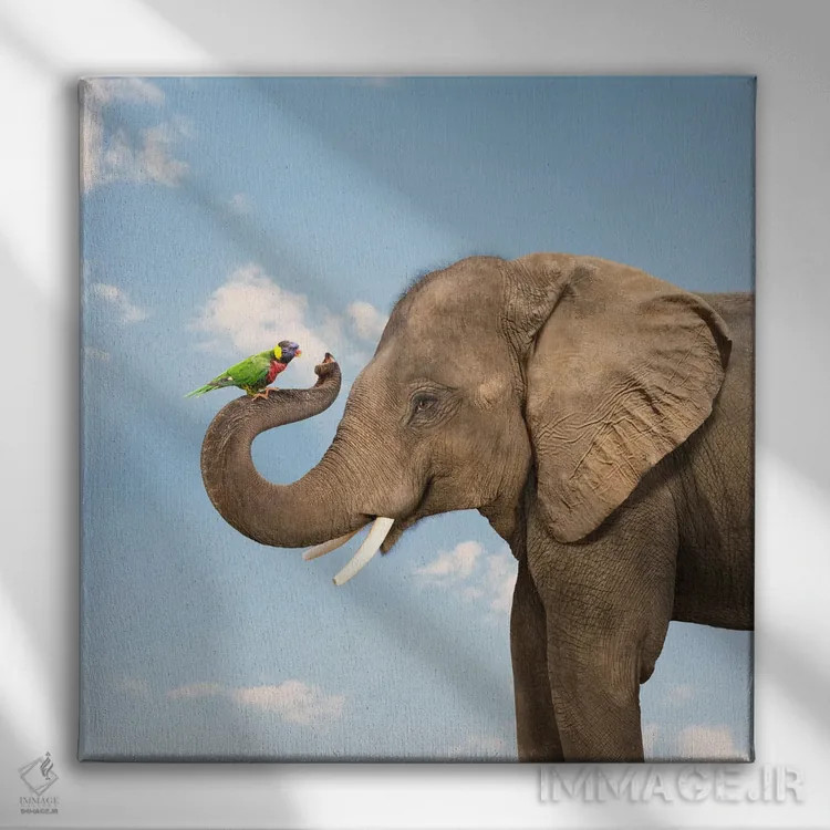 تابلو دکوراتیو دوستی فیل و طوطی لوریکیت اثر لوند روزر - نمای روبهرو روی دیوار
