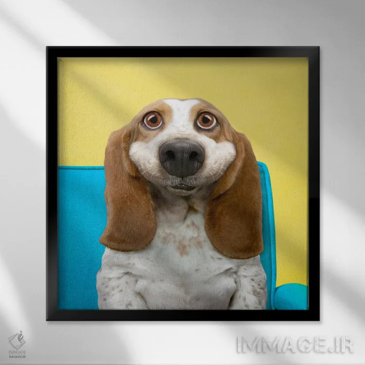 تابلو دکوراتیو زیبایی باست هاوند اثر لوند روزر - نمای قابدار مشکی