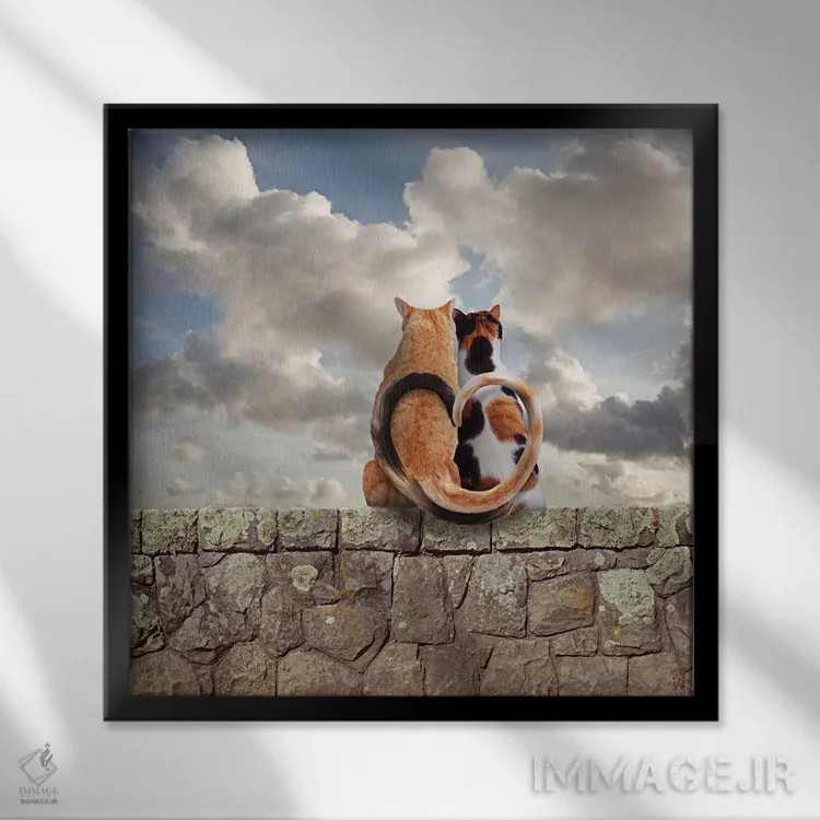 تابلو دکوراتیو عشق گربه ای کامل اثر لوند روزر - نمای قابدار مشکی