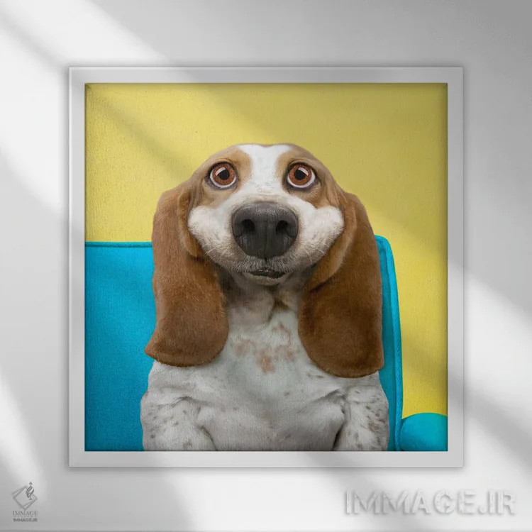 تابلو دکوراتیو زیبایی باست هاوند اثر لوند روزر - نمای قابدار سفید